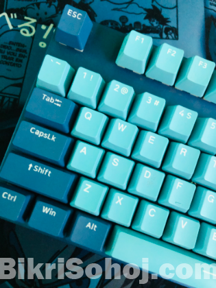 Gaming keyboard (rapoo v500)